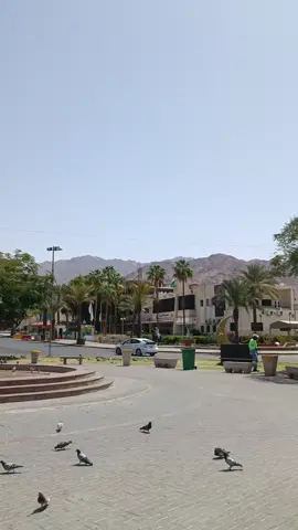 شوارع العقبه اليوم روووقان 😂 كل عام وانتو بخير  #العقبه_الاردن 