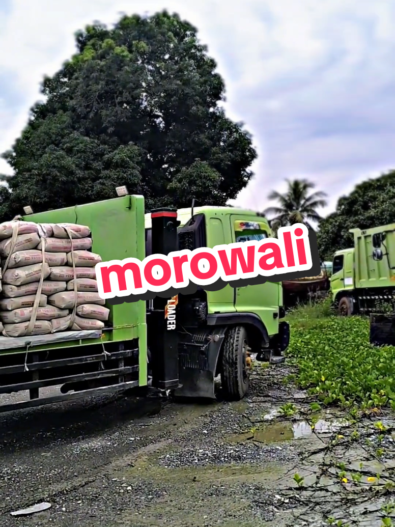Hino yang membawa saya kemana-mana #hino500 #trukhino500 #drivertruk #sementonasa #fyppppppppppppppppppppppp 