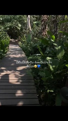 ຖ້າມັນເປັນຄວາມຈິງກະຄື່ສິດີ😓#ຄວາມຮູ້ສຶກ #foryou #ຂໍ້ຄວາມ #2008 #ຄິດຮອດ #Fitness 