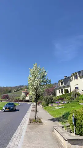 Have you ever heard of Wellenstein in Luxembourg? This charming little town really surprised me! Cute houses, peaceful streets, and a vibe that feels like time just stopped. It’s the kind of place that makes you want to take a deep breath and slow down. I loved the energy of this town… what about you? Have you ever been there, or could you live in a place like this? Drop a comment and tell me what caught your eye the most! (And if you know any hidden little towns like this, I’d love to hear your recommendations!)   #2025 #LifeInEurope #europe #luxembourg #trip #travel #CapCut 