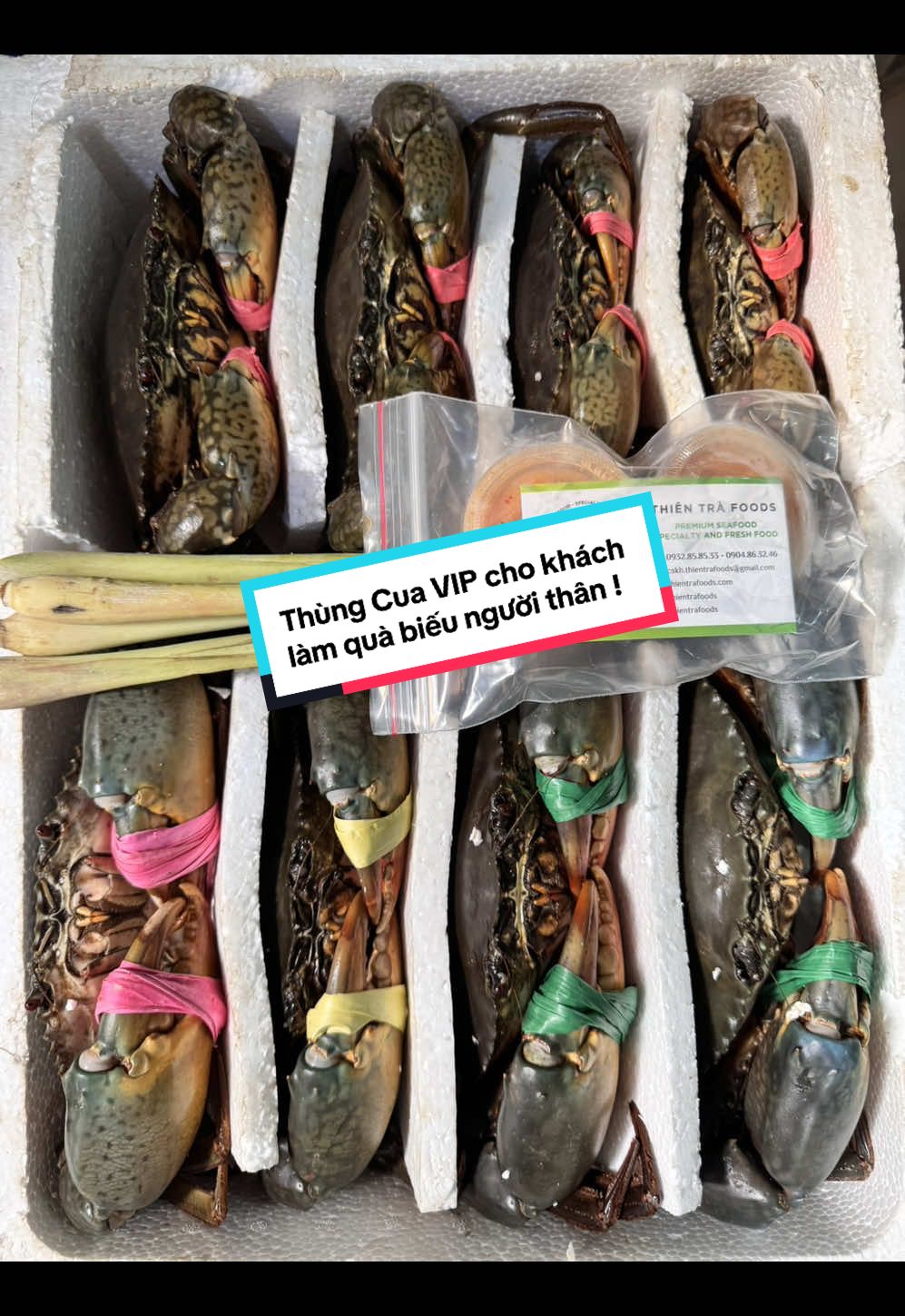 Món quà ý nghĩa tặng người thân - Cua Thịt, Cua Gạch khủng long, siêu vip nhà #thientrafoods #xuhuong #thinhhanh #viral #seafood #haisan #trendingvideo #cuacamau #fyp 