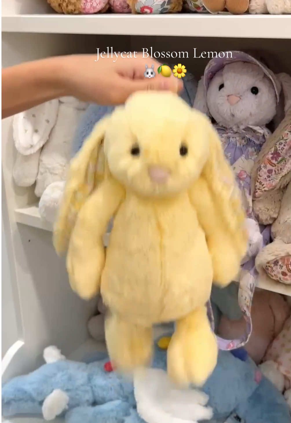Retired blossom lemon bunny 🐰🍋 #fyp #jellycat #jellycatcollection #jellycatbunny #viralvideo #jellycatshop #jellycatlondon 