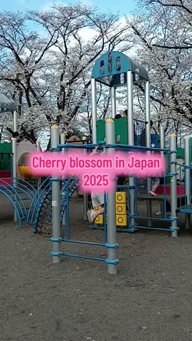 #japan  #mylifeinjapan  #pejuangyen🇮🇩🇯🇵 