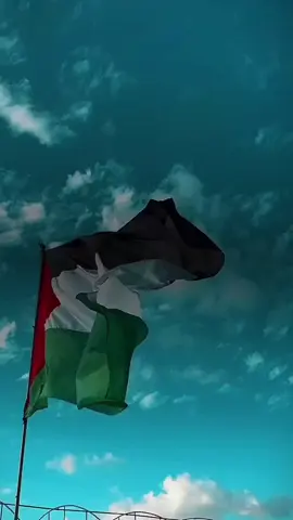 #CapCut غزة تحت النار 🔥💔🇵🇸 وصدق كلام الله: 