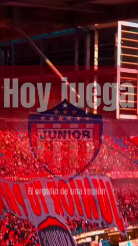 Hoy juega junior #hoyjuegajunior #vamosjunior #barranquilla #viralvideotiktok #deportesentiktok #medellin #luiferjuniorista_ 