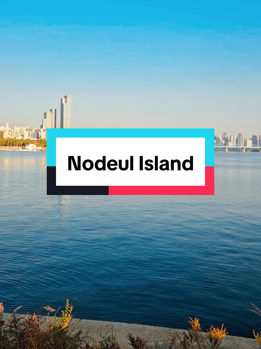 Once you're there, you never forget that view 😍 #seoul #nodeulisland #korea #visitkorea #koreatrip #traveltheworld #travelasia #travelers #wanderlust