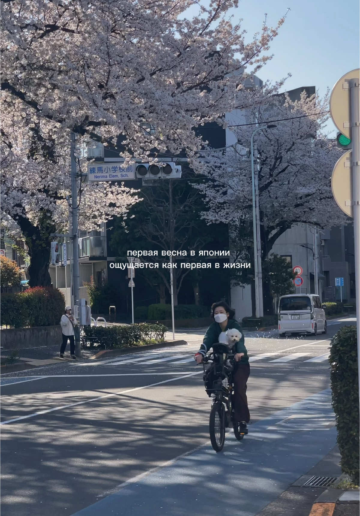 ✶ тгк: солнечный дом 