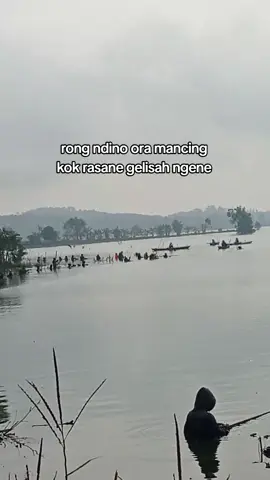 jebul  pengangguran😪 #mancing #mancingliar #mancingnyobok #storymancing #fyp #fypage #fyppppppppppppppppppppppp #lumutbosok🐟 #foryoupage #xyzabc #pentingmancingest2018 #wko #boyolali24jam #wadukkedungombo 