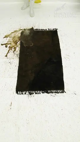 The Whole Sahara Desert Was In This Rug  #satisfying #asmr #carpetcleaning #rugcleaning #restoration #fyp