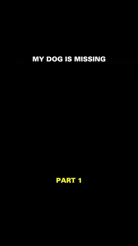My Dog is Missing1