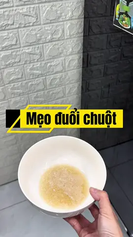 Mẹo đuổi chuột! Nhà bạn nào hay bị chuột cắn phá đồ thì thử xem nha #meonhavi #mẹohay #mẹovặt #mẹohaycuộcsống 