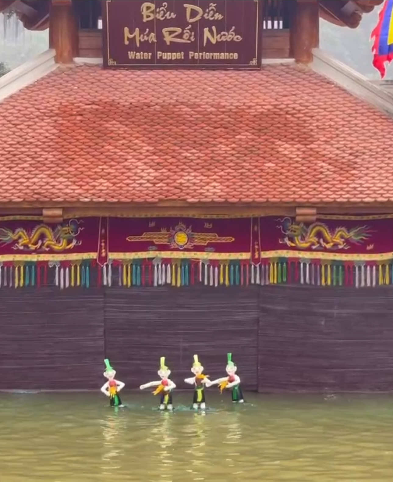 🏛 Biểu diễn 