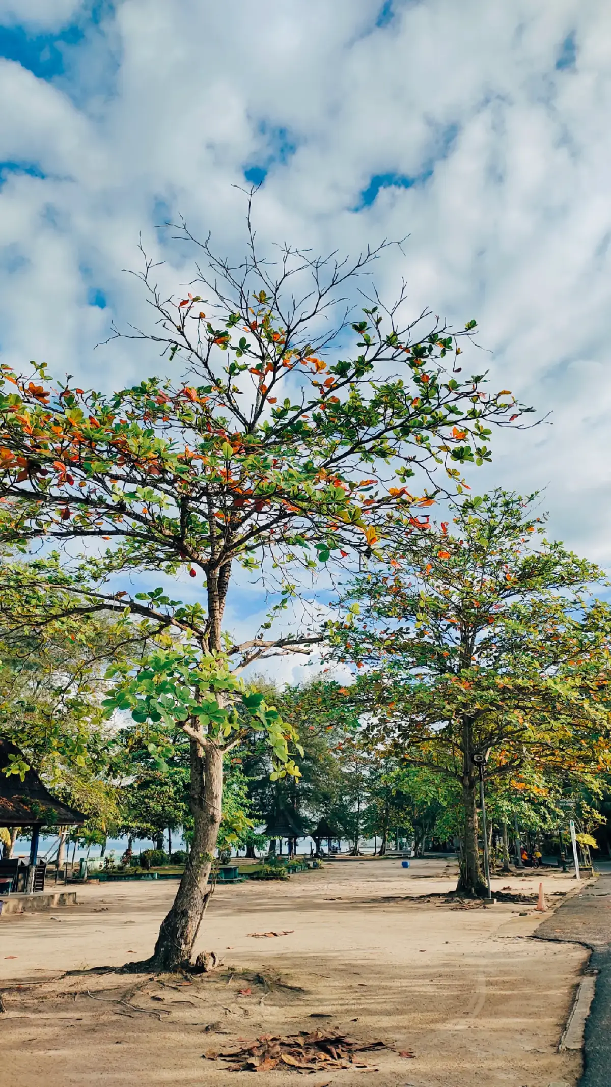 Pantai Tanjung Pendam adalah objek wisata yang terletak di Kota Tanjungpandan, Bangka Belitung. Pantai ini memiliki luas sekitar 22 hektare dan berhadapan langsung dengan Pulau Kamoa. Pantai Tanjung Pendam kerap menampilkan acara kesenian khas Belitung seperti festival budaya, festival band, festival layang-layang hingga acara olahraga. #belitung #pantai #fyp #tanjungpendam 