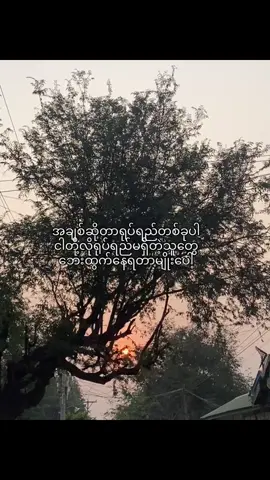 #tiktok #fyppppppppppp 