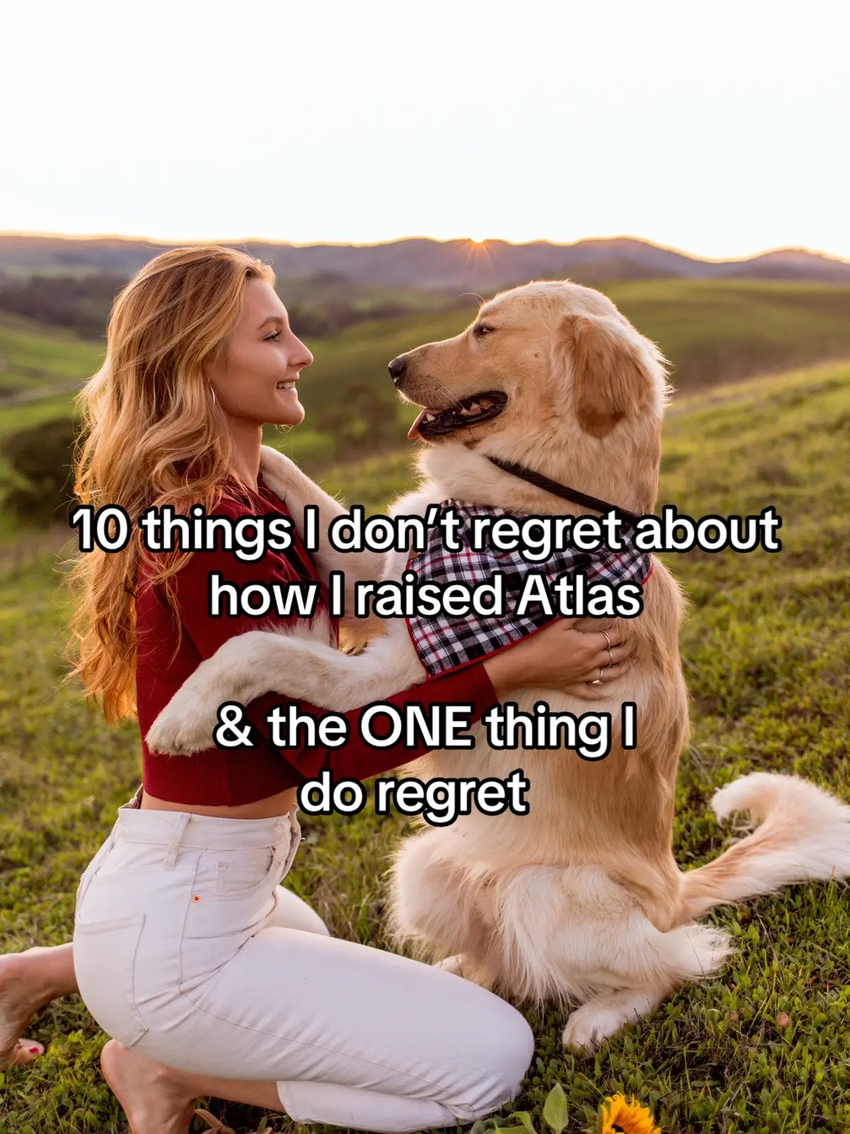 was going down memory lane with some puppy pics & decided to mention some of the things I’m so grateful to myself for doing to create such a solid dog, but I was by no means perfect #puppy #puppytips #puppytraining #goldenmix  