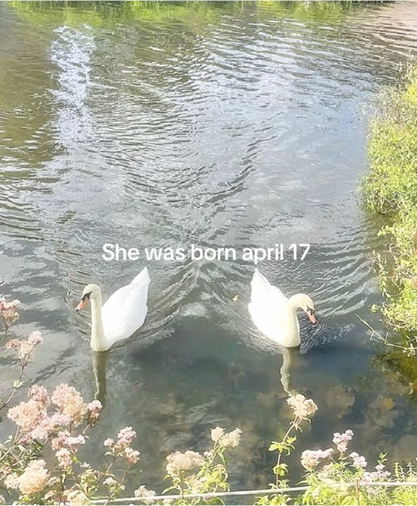 It’s my birthday #17 #april #birthday #fyp #vibes 