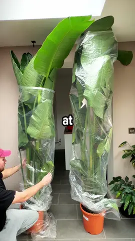 FULL VIDEO ON YOUTUBE At My Birthday Dinner, My Mom Gushed About My Cousin's Promotion, Then Handed Me A Gift Card And Said, 'Didn't Have Time To Get You Anything Special!' #reddit #stories #redditreadings