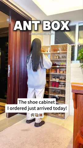 The Ultimate Shoe Storage Solution: Our Shoe Cabinet 🎈