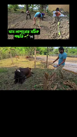 YT,,Bismillah Agro,,,প্রোফাইল গিয়ে ইউটিউব ক্লিক করে ফুল ভিডিওটি দেখে আসতে পারেন,,,আপনার বেকার জীবনে কাজে লাগবে ইনশাআল্লাহ ❤