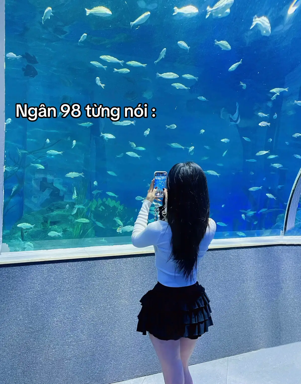 #bẹp #xuhuong #fyp #viral #abcxyz #hĩn🍍 #tinhyeu #yenbinh #tamtrang #🍀 