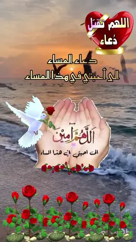 #دعاء_المساء_للاحباب #اللهم ارزقهم لطف القدر وصحة الجسد وطيب الخاطر وعافية الدهر اللهم احفظهم بعينك التي لا تنام#اللهم_امين #ادعية_يومية #حالات_واتس #اكسبلور 