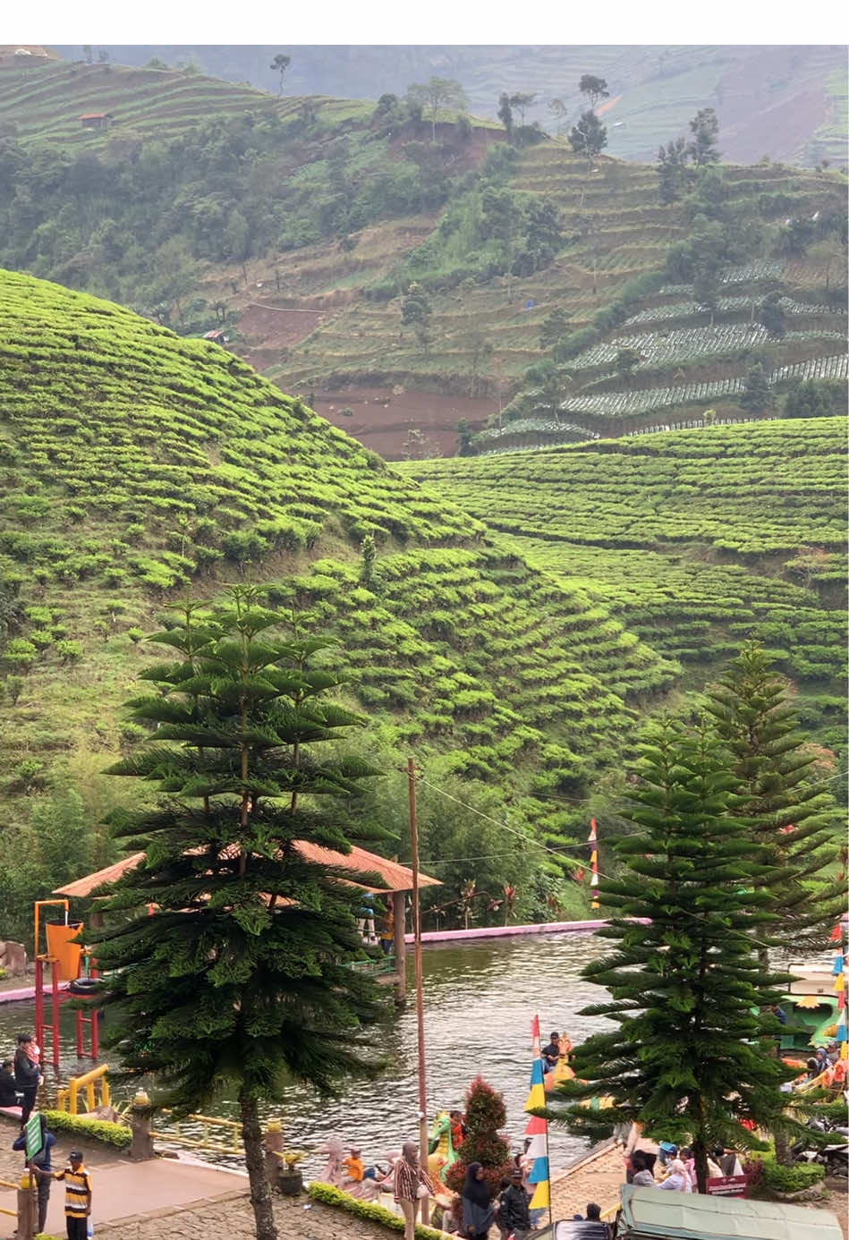 Vibesnya kaya seger banget ga sih🍃 #bumiayu #bumiayustory #kaligua #fyppppppppppppppppppppppp 