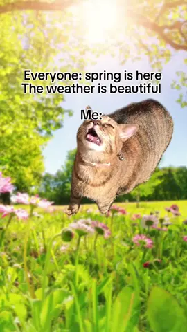 🤧🌸🌱🌼🍃🐝 #hayfever #fyp #forupage #pov 