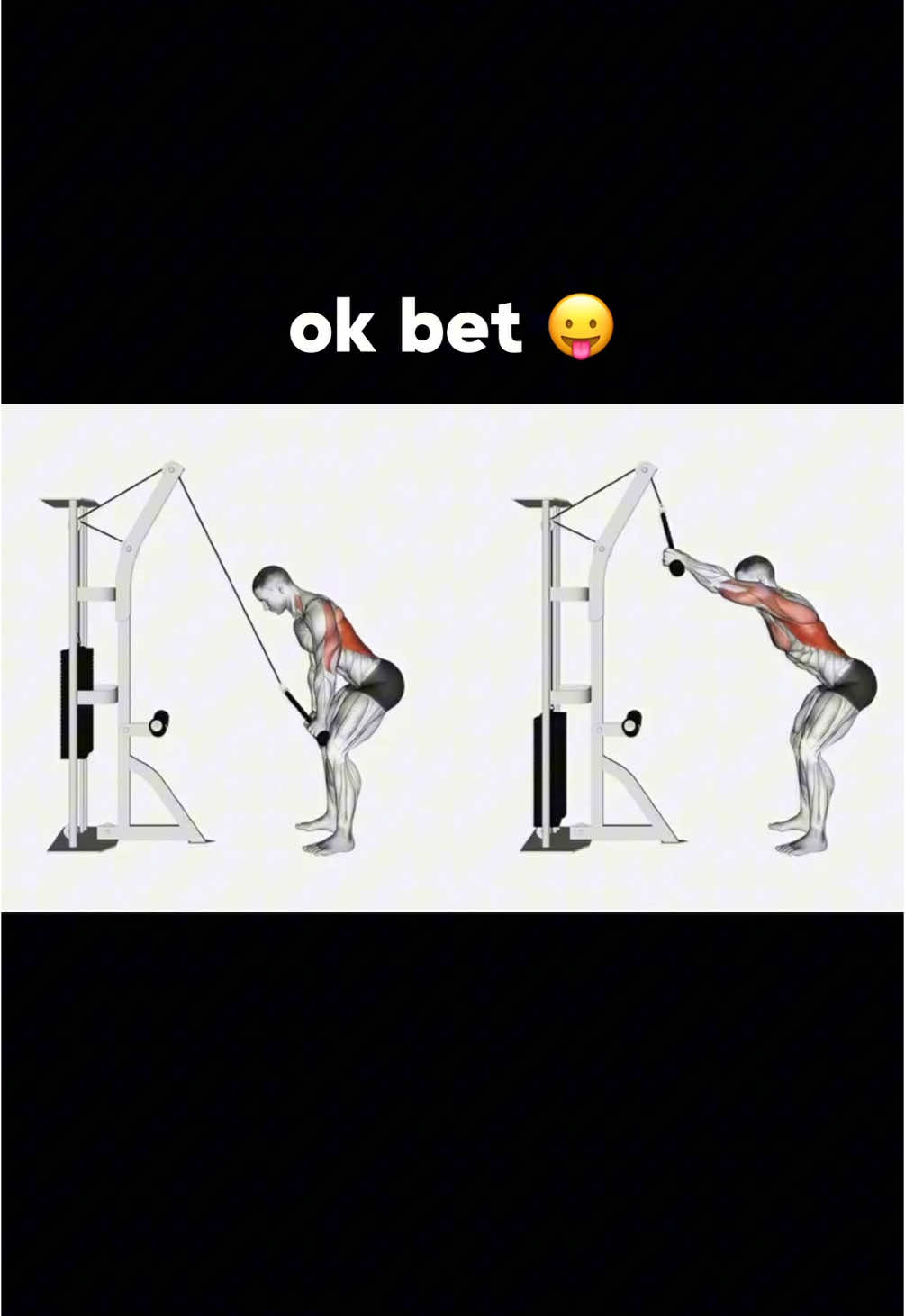 lat pullovers >> by far a top tier movement on my back days 🙂‍↔️🙂‍↔️ this obvi isn’t the only back exercise i do but the pump is always insane😈 - - - - - - #creatorsearchinsights #backday #gymworkout #Fitness #backgains #gym #GymTok #gymtransformation #gymprogress #bigback #bodybuilding #bodytransformation #lats #musclemommy #gymmotivation #girlswholift 