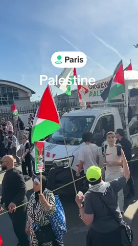 Manifestation Palestine à Paris #palestine🇵🇸 #paris #manifestation 