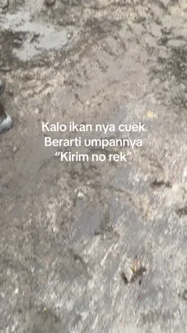 Mie kari mie kuah, muah muah #storytambangbatubara #tambanghitz #melewatiberandatiktokfyp #tambangbatubara #trend??tiktok 