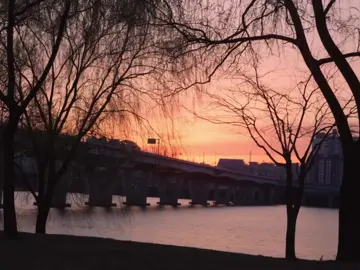사랑이 가득한 경주의 봄 대릉원돌담길에서 벚꽃으로 그려진 하트도 볼 수 있고 밤벚꽃길을 따라 낭만적인 산책도 하고 길게 늘어진 아름다운 벚꽃길에서 함께 사진찍는 여행 올 봄에 경주를 다녀온 건 참 다행이었다 #경주여행 #벚꽃여행 #여행사진작가 #감성사진 #풍경사진 #캐논코리아 #visitkorea #koreatrip #canonkorea #lightwavetoearth #CapCut 