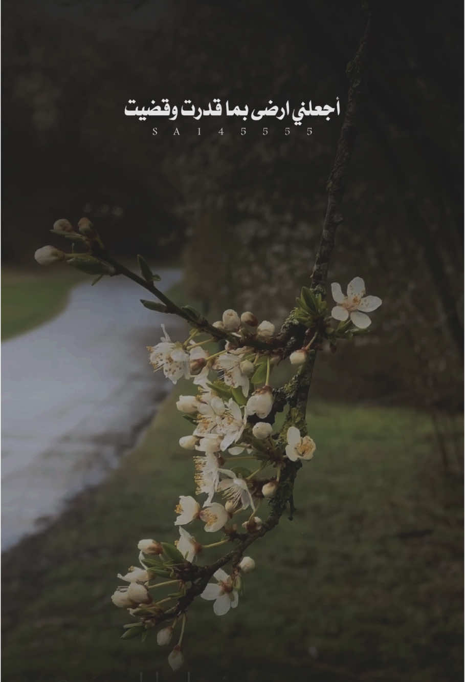الرضا والتسليم 🤍🤍