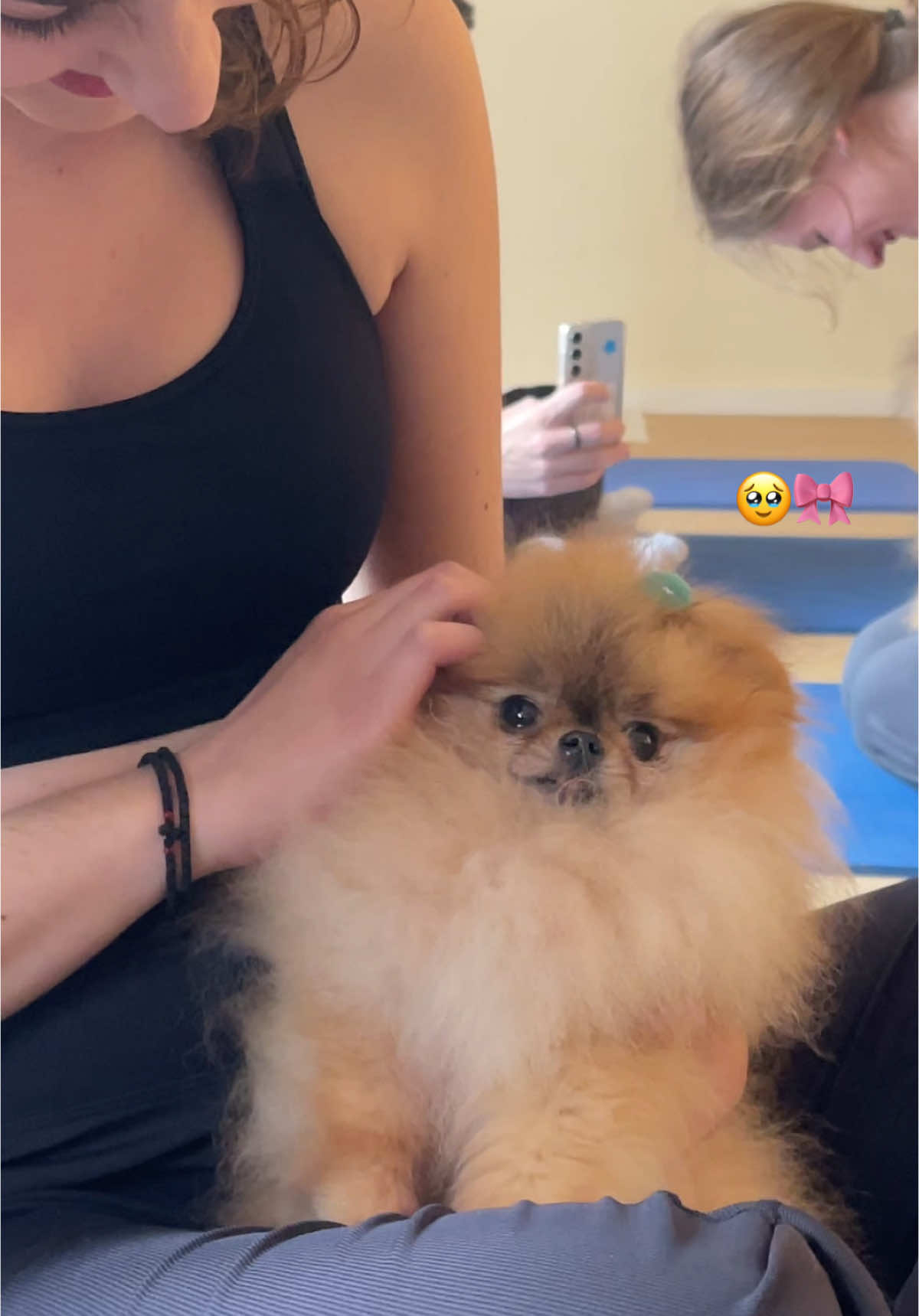 Puppy Yoga in Thessaloniki 🐶🤍  #puppyyoga #yoga #pomeranian @Stavroula Giaritzidou 