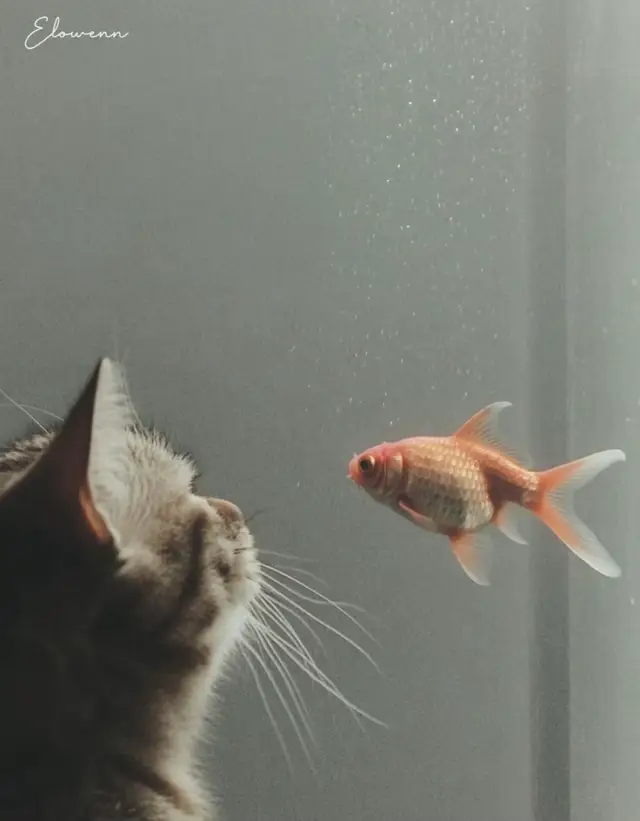 #📸 #cuocsongcotri #tamtrang 