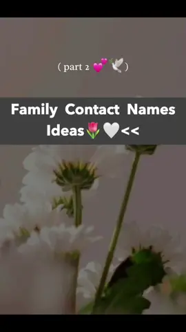 Family Contact Name idea…!👀💕✨⛄️
