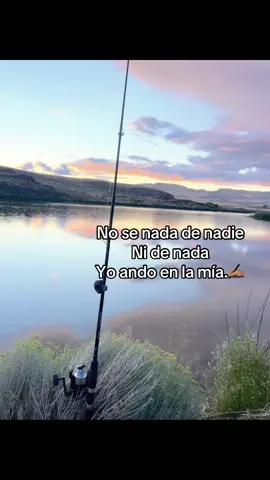 #paratiiiiiiiiiiiiiiiiiiiiiiiiiiiiiii #viralvideo #greenscreenvideo #🦋🦋 #fy 