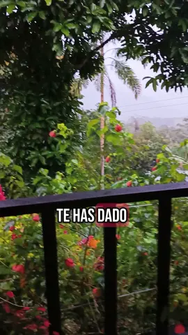 Mateo 6-34 sueltay confía. #estadosdewhatsapp #estados #amazing #fpy #creatorinsights #parati #frasesyreflexiones #videosconfrases #frasesbonitas #reflexionesdevida #confianza 