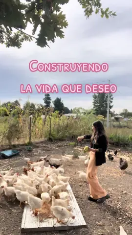 Todos los días me construyo y tomo decisiones para llegar hasta aquí. Mi vida es perfecta, pero no porque esté libre de preocupaciones, miedos, penas o dolor, es porque he logrado trabajar en mí y conseguir realmente lo mejor para mi bienestar y además, porque disfruto y agradezco lo que tengo. Gracias Dios por permitirme tantas alegrías y dichas, por bendecir mi vida y no dejarme sola. #campo #bienestar #autoinmunidad #artritisreumatoide #enfermedadautoinmune #concepcion #chile #parati 