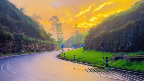 🥹❤️‍🔥 කොහොම බැලුවත් ලස්සනයි ❤️‍🔥 ෆයර් ගර්ල් ❤️‍🔥 #fyp #srilanka #bus #special #ෆයර්_ගර්ල් 