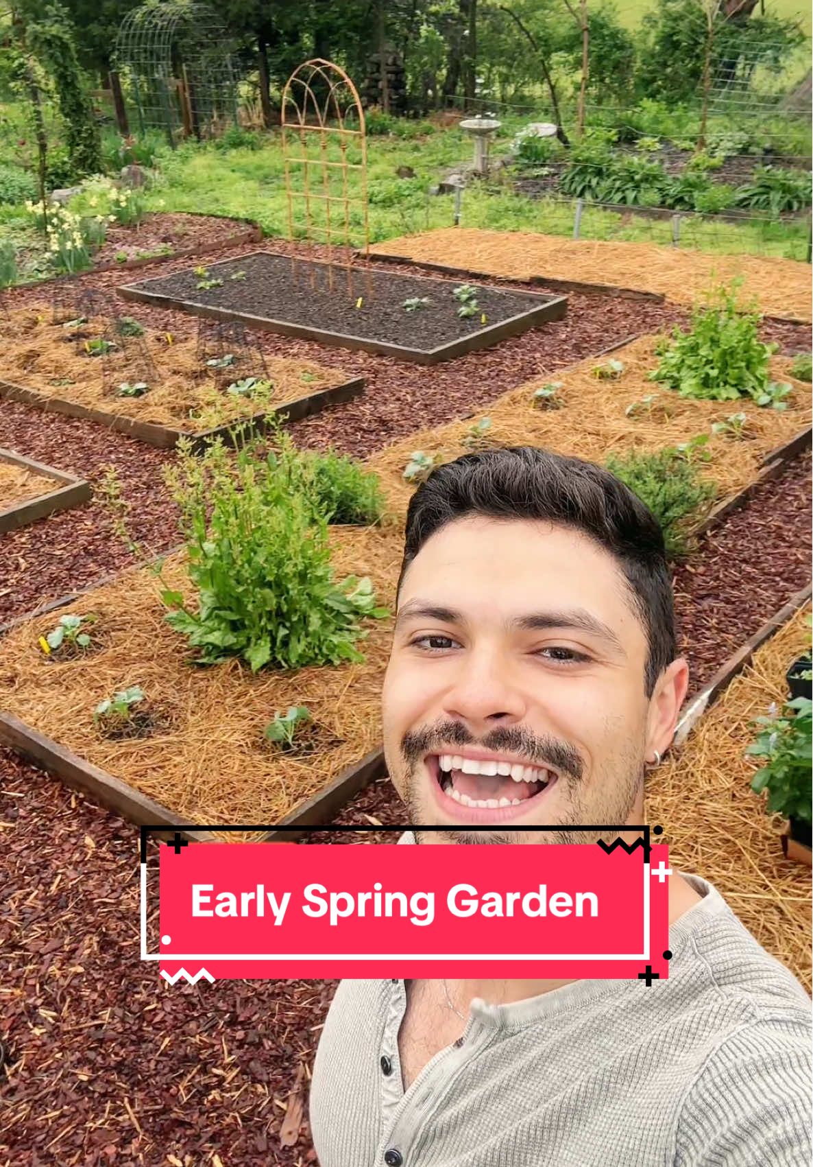 The #garden after it rains is just 😮‍💨 #farmlife #abundance
