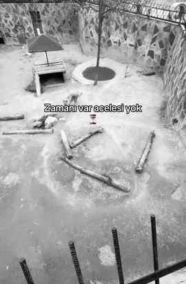 #kesfet #04 #viralfyp 