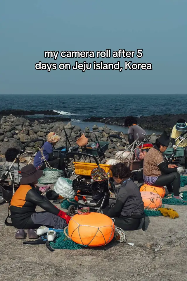 Some of my favorite snaps from our 5 day road trip around Jeju island. Such a magical place and I can’t wait to come back soon 😍 This time I’ll be spending 3 weeks there! 🫶🏼 #jeju #jejuisland #jejukorea #udoisland #whenlifegivesyoutangerines #korea #koreatrip 