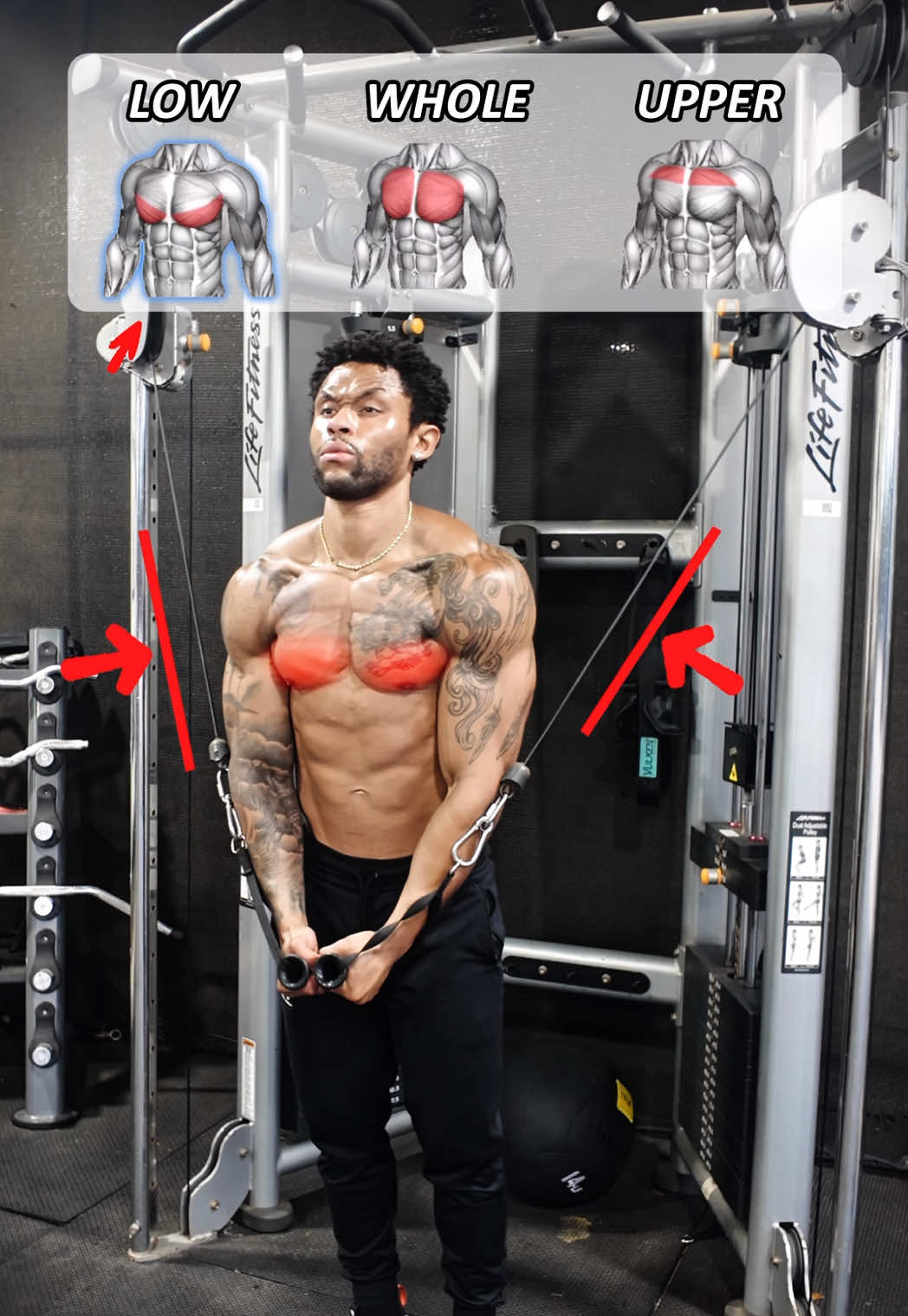 3 Chest Cable Heights That Hit Different 💥  🔻LOWER vs WHOLE vs UPPER🔺 LOWER (High to Low Cable Flys)  Drag that weight down with power. This targets your lower chest with laser focus. Keep the motion tight, controlled, and aggressive—think slicing down through concrete. WHOLE (Cable Fly Press)  This is the meat-and-potatoes move—hits the full chest. Palms forward, elbows tucked, and press like you're crushing steel between your palms. Balanced tension across the entire pecs. UPPER (Low to High Cable Flys)  Time to lift that chest shelf. Pull up and across, feeling every inch of the contraction. This one's for that upper chest pop—where shirts start to stretch. Train smart. Train with intent. No fluff—just results. #ChestDay #CableFly #UpperChest #LowerChest #ChestWorkout #Pecs #GymTips #MuscleActivation #HardcoreTraining #CableCrossover #PhysiqueTraining #NoFluffJustResults #FitnessContent #TrainWithIntent #GymReels #PushDay #MindMuscleConnection #BodybuildingTips