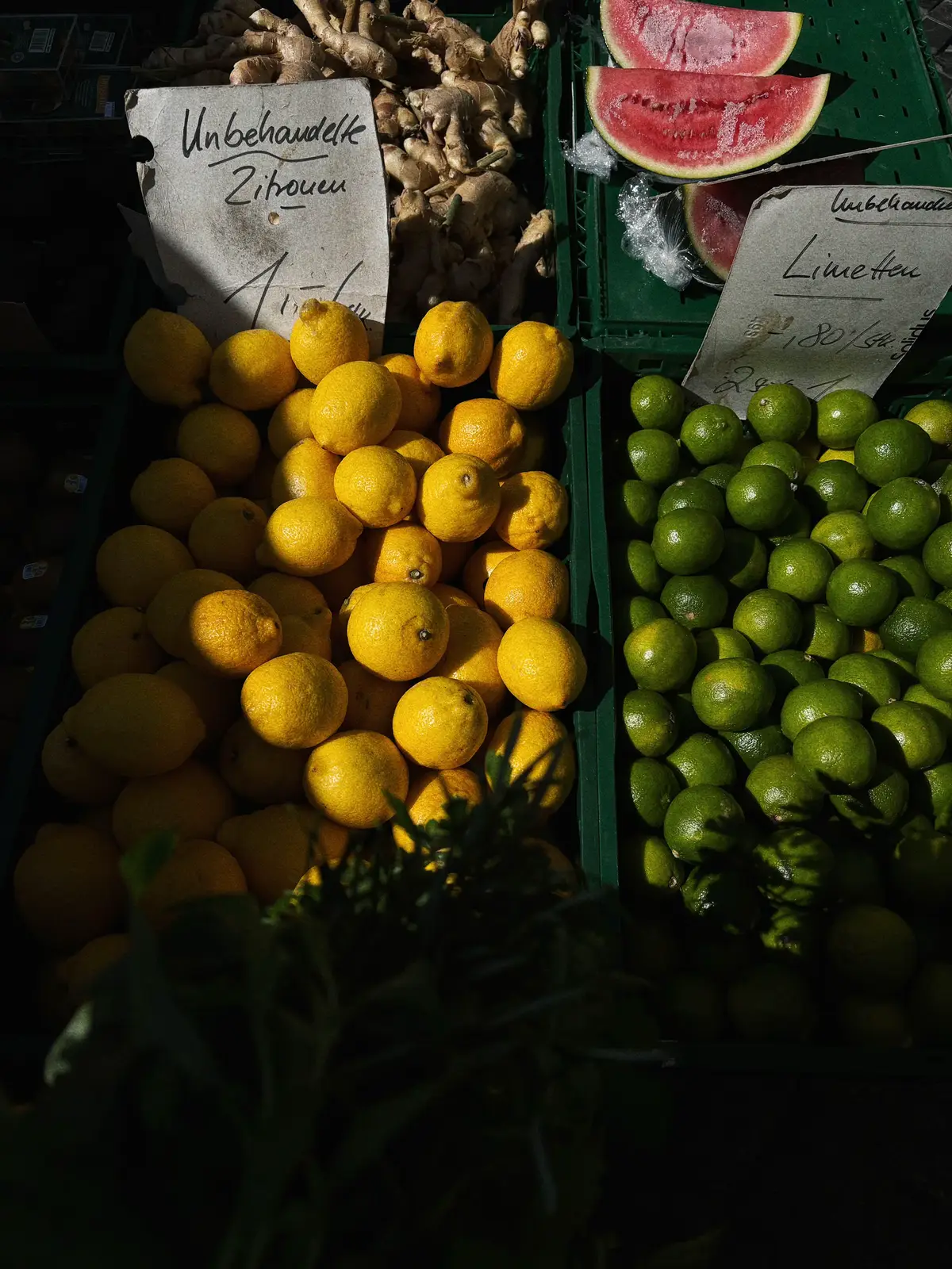 some quiet days in my hometown <3 #fyp