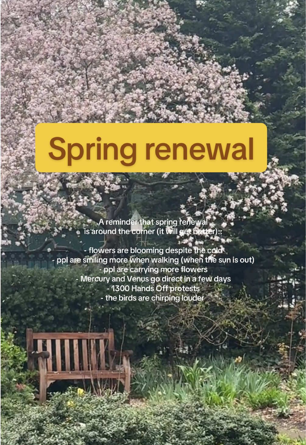 the nyc gloom weather & retrogrades have been getting me down - but the blooming flowers in the west village reminded me that a revival is just around the corner ❤️ #nyc #spring #hopecore #renewal 