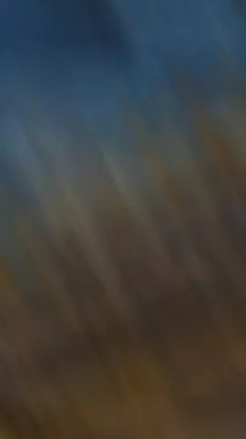 #كربلاء_شارع_السناتر