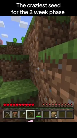 Seed: -2032795982907864146 best seed for the 2 week Minecraft phase #Minecraft #fyp #moot #real #viral #minecraftupdate #minecraftasthetic 