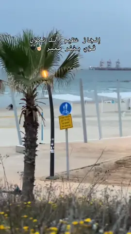 #بيرهداج_كسيفه_النقب_تل_عراد_النقب #صوريف_الخليل_فلسطين🇵🇸 #عرعره_النقب_رهط_كسيفه_شقيب_تل_السبع 