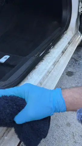 Voiture remplie de poils de chien 😵‍💫, une vraie galère à nettoyer. #CleanTok #nettoyage #cardetailing #satisfying 
