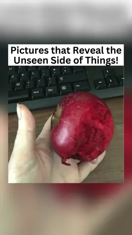 Pictures That Reveal The Unseen Side of Things 👀🤯 #DidYouKnow #fyp #thingsyoudidntknow #interesting #unseenside #neverseenbefore 